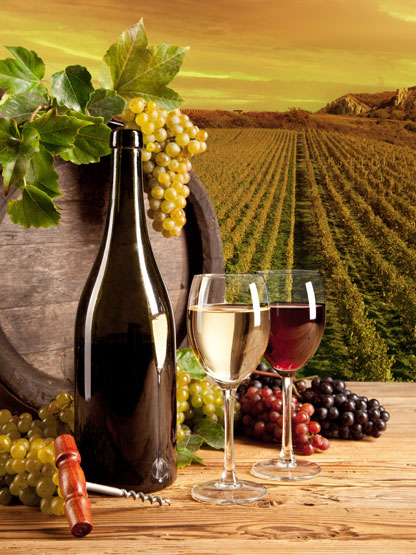 Vini made in Italy